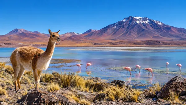 Eduardo Avaroa Andean Fauna National Reserve
