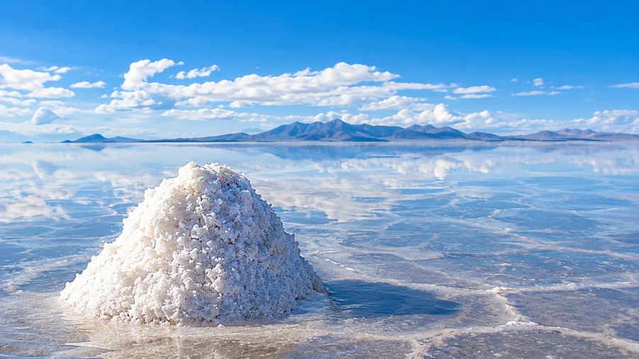 Salar de Uyuni 1-Day Tour Guide